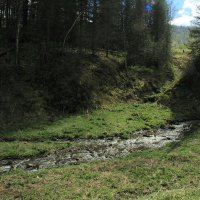 Райский уголок :: Евгений Бурындин