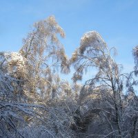 Подружки По секрету :: Анна Воробьева