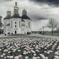 Екатерининская церковь. :: Андрий Майковский