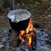 А  вот и  ушица будет.... :: Валерия  Полещикова 