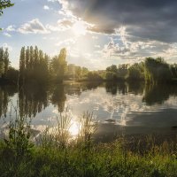 Жаркое летнее солнце :: Лидия Цапко