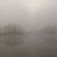 Серый туман :: Alexander Andronik