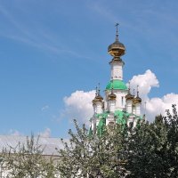 Толгский монастырь, июньская зарисовка :: Николай Белавин