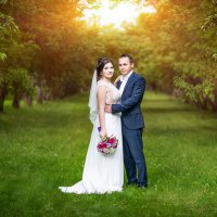 Молодожёны, свадьба, парк Коломенское :: Alex Lipchansky