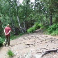 в горах Белокурихи :: Наталья Кочетова 