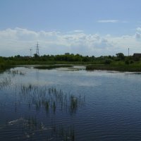 Река   Быстрица   Солотвинская   в   Ивано - Франковске :: Андрей  Васильевич Коляскин