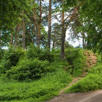 Поедка в Звенигород :: Владимир Безбородов