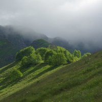 Лучики солнца ... :: Андрей Любимов