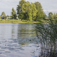 Река :: Вера Аксёнова