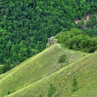 Жигулевские горы. :: Елена Савчук 