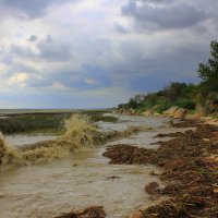 Волны на Азовском море :: оксана косатенко 