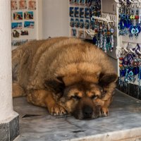 никто не покупает сувениры... :: Андрей ЕВСЕЕВ