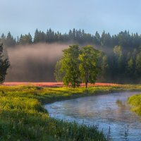 Туманно-речное пано :: Фёдор. Лашков