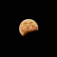 Затмение Луны :: Николай Николенко
