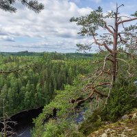 Финская Карелия. :: Тиша 