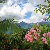 Удивительной красоты сады замка Трауттмансдорф...(Италия) :: Galina Dzubina