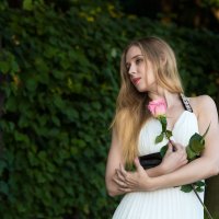 Дама с розой :: Сергей Добрыднев