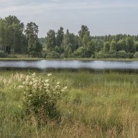 У озера :: Сергей Цветков