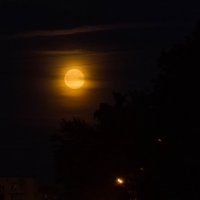 moon :: Владимир Федоров