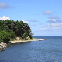 Балтийское побережье в августе :: Маргарита Батырева