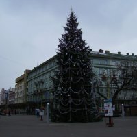 Новогодняя   ёлка   в    Ивано - Франковске :: Андрей  Васильевич Коляскин