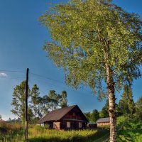 Летний вечер. :: Юрий Гординский