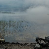 Ранним утром :: Валерий Толмачев