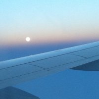 Луна и самолет :: Марина Домосилецкая