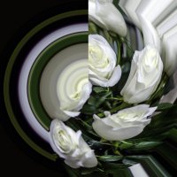 Белые розы на тарелочке :: Tatiana Poliakova