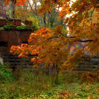 Осень у старой башни :: Сергей Карачин