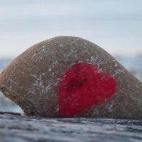 Любовь камня. :: Olga 