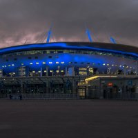 Cтадион :: Наталья Левина