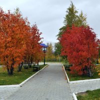 В осеннем парке. :: Анатолий Анищик