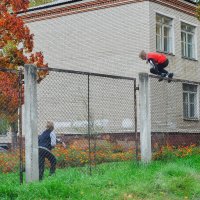 Осенняя эстафета с препятствиями :: Николай Сапегин