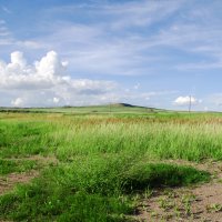 Свобода :: Виктория Большагина