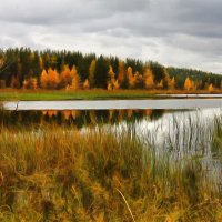 Осенняя гармония :: Анжела Пасечник