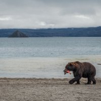 Курильское озеро :: Галина Шепелева