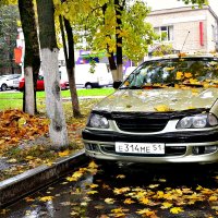 Автомобиль и Осень. :: Михаил Столяров