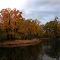 осень в парке :: Елена Маковоз