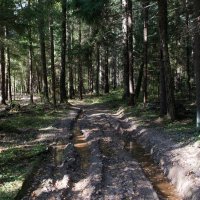 Начало осени. :: Владимир Безбородов