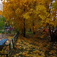Золотая осень в моем дворе :: Андрей Лукьянов