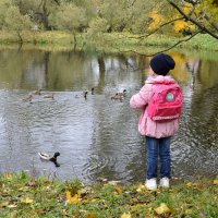 Хлебушка хватит всем, но уточкам надо поторопиться! :: Татьяна Помогалова