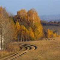 По дороге в золотую осень :: Olenka 