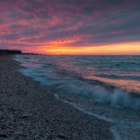 На морском берегу :: Алина Шостик