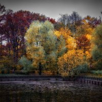 Осень на пруду в парке. :: Василий Ярославцев