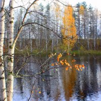 ОСЕНЬ В КАРЕЛИИ :: Николай Гренков