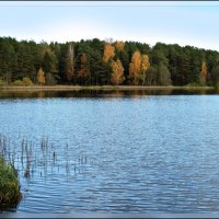 Озеро Удранка :: Михаил Цегалко