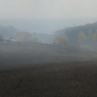 Осенний туман :: Лидия Цапко