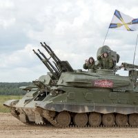 Армия 2017 :: Олег Савин