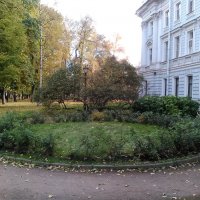 Клумба в саду Сан-Гали. (Санкт-Петербург, октябрь). :: Светлана Калмыкова